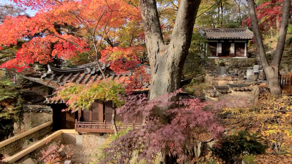 스크린샷 2021-11-13 오후 9.34.59.png