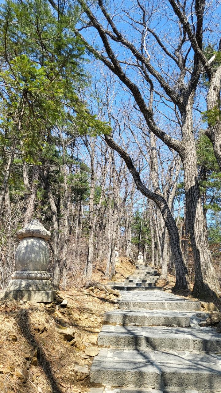서부총괄팀 오대산 상월사 적멸보궁 순례 (2026. 3.29) 9.jpg