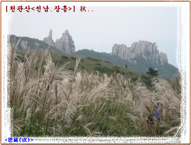 33으악새천관사 으악새.jpg